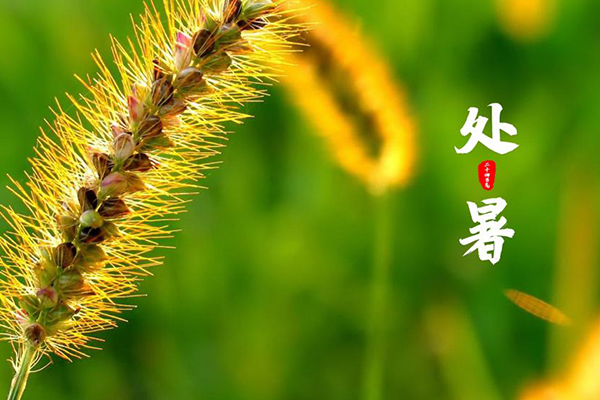 �й���6163����(�ɷ�)���޹�˾-�ٷ���վ